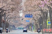 澳门共建“花园城市” 北京这场议政会“百花齐放”